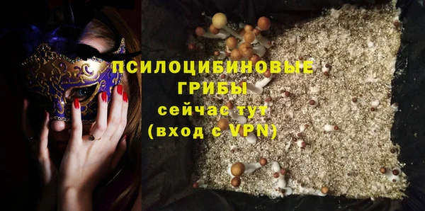 прущие крисы Вязьма