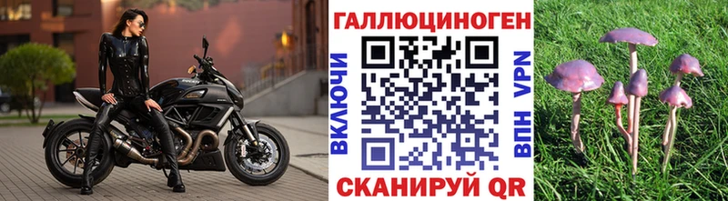 Купить Котлас Псилоцибиновые грибы GOLDEN TEACHER