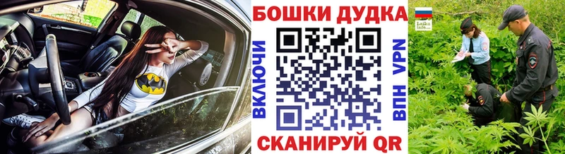 Купить где  Котлас  Шишки марихуана Bruce Banner 
